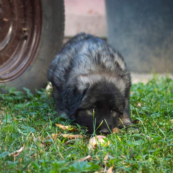 4개월아기손빨기