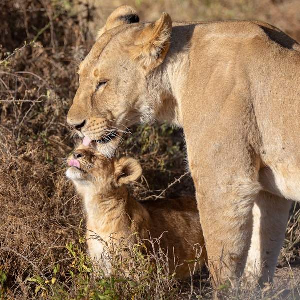 6개월 아기 변비