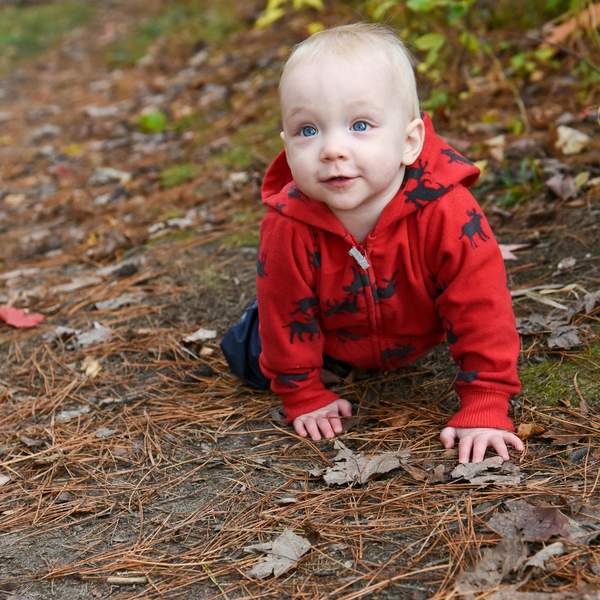 이유식조리기추천